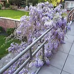 Rez Terrasse Et Jardin *
